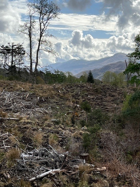 Quality West Plantation 