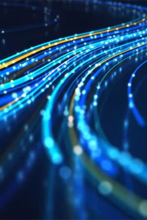 Réseau de fibres numériques