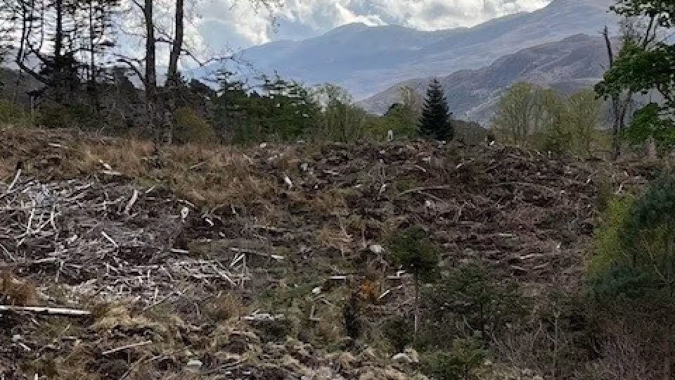 Quality West Plantation 