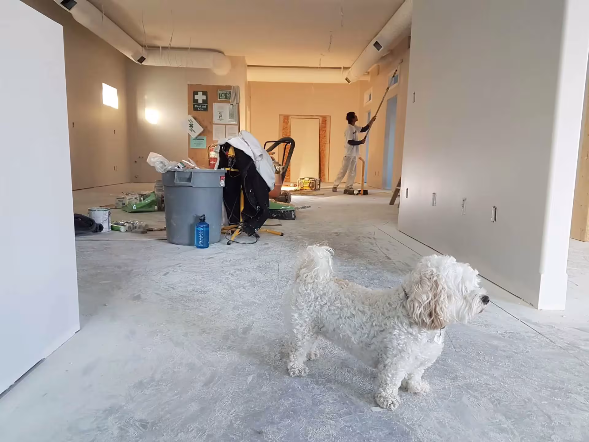 Een renovatie, een hond staat in de voorgrond. er is iemand aan het schilderen